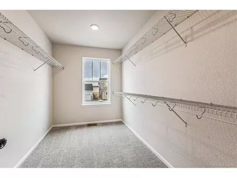 987 Rustling St, Windsor, CO 80550 photo 16