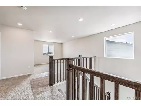 987 Rustling St, Windsor, CO 80550 photo 11