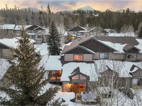 269 Kestrel Ln, Silverthorne, CO 80498