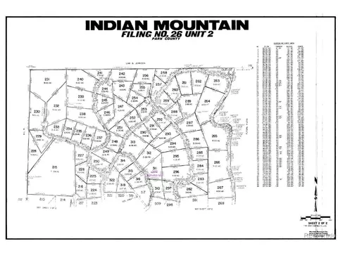 300 Shetland Cir, Como, CO 80432 photo 18