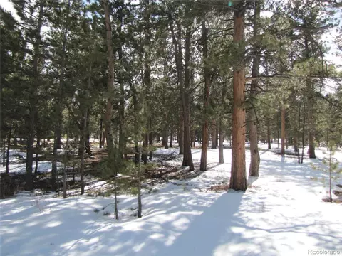 169 Haystack Rd, Hartsel, CO 80449 photo 3
