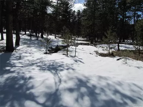169 Haystack Rd, Hartsel, CO 80449 photo 2