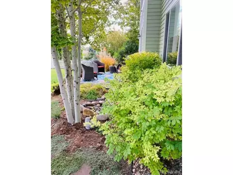 1109 Crescent Dr, Windsor, CO 80550 photo 33