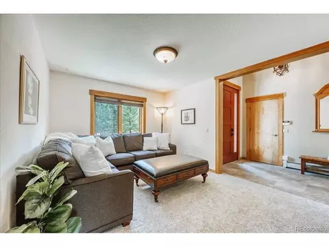Other - 27 Montane Ct, Dillon, CO 80435 photo 3 of 6
