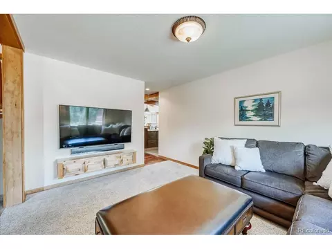 Living - 27 Montane Ct, Dillon, CO 80435 photo 4 of 5