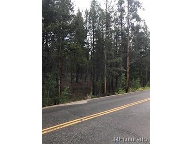 Undisclosed, Leadville, CO 80461
