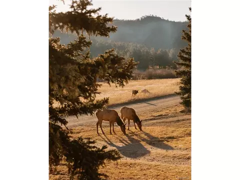 Other - 177 Cedar Dr, Lyons, CO 80540 photo 11 of 14