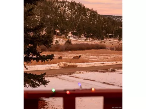 Exterior - 177 Cedar Dr, Lyons, CO 80540 photo 7 of 11