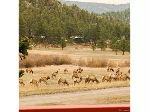 Exterior - 177 Cedar Dr, Lyons, CO 80540 photo 11 of 11