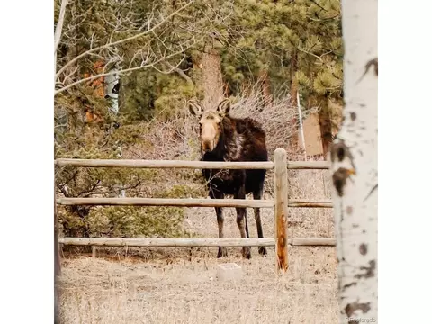 Other - 177 Cedar Dr, Lyons, CO 80540 photo 7 of 14