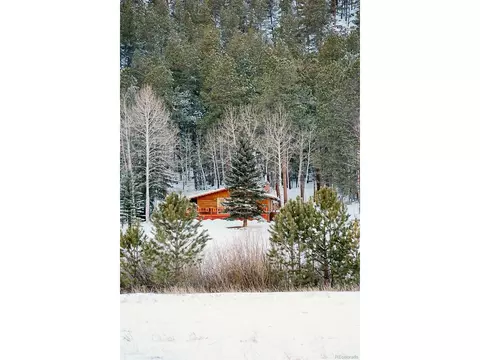 Other - 177 Cedar Dr, Lyons, CO 80540 photo 13 of 14
