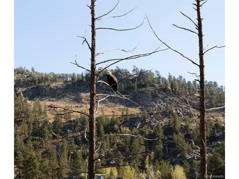 Other - 177 Cedar Dr, Lyons, CO 80540 photo 14 of 14