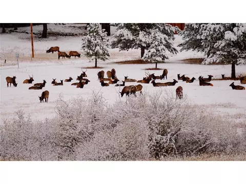 Other - 177 Cedar Dr, Lyons, CO 80540 photo 9 of 14