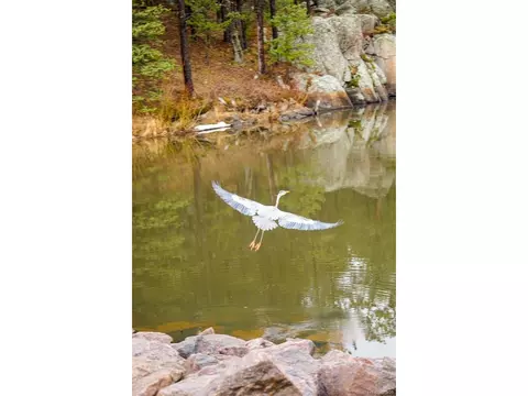 View/Area - 177 Cedar Dr, Lyons, CO 80540 photo 5 of 5
