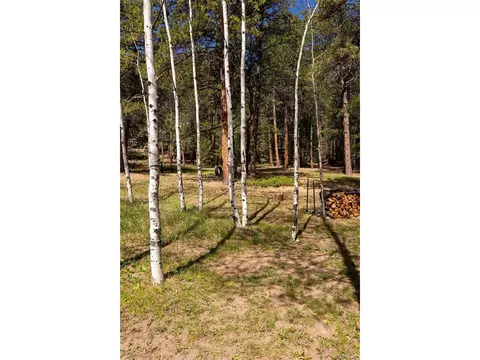 Exterior - 177 Cedar Dr, Lyons, CO 80540 photo 5 of 11