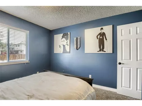 16594 E Bails Pl, Aurora, CO 80017 photo 28
