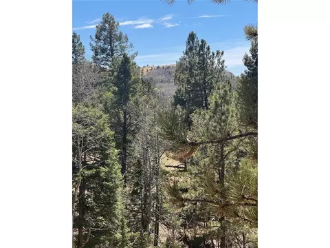 288 Troy Dr, Cripple Creek, CO 80813