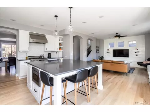 8166 E 28th Dr, Denver, CO 80238 photo 10