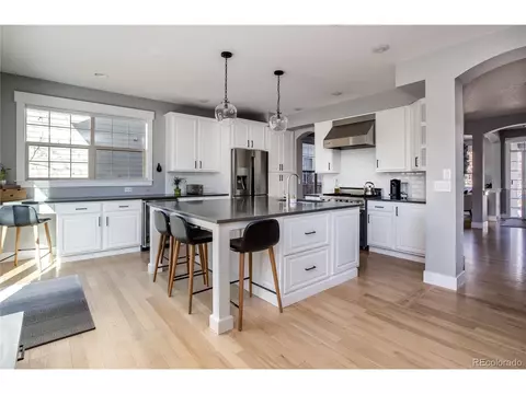 8166 E 28th Dr, Denver, CO 80238 photo 7