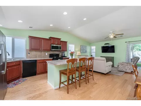 20669 E 55th Ave, Denver, CO 80249 photo 4