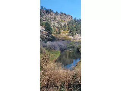 2563 Lakemoor Dr, Florissant, CO 80816
