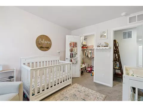 19167 E 64th Ave, Denver, CO 80249 photo 26