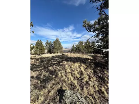 4513 Middle Fork Vis, Fairplay, CO 80440 photo 14