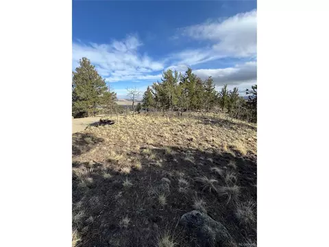 4513 Middle Fork Vis, Fairplay, CO 80440 photo 11