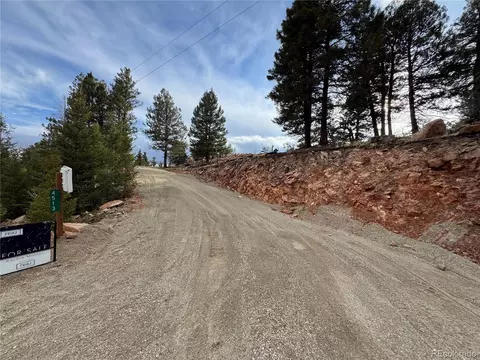 4513 Middle Fork Vis, Fairplay, CO 80440 photo 2