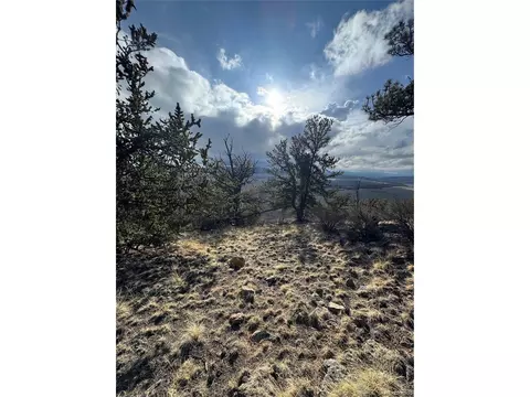 4513 Middle Fork Vis, Fairplay, CO 80440 photo 10