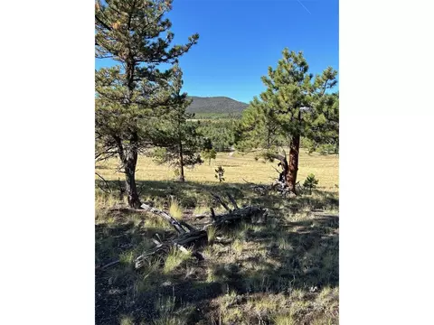3078 Singletree Rd, Hartsel, CO 80449