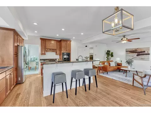 7408 Bluefox Ct, Lone Tree, CO 80124 photo 16