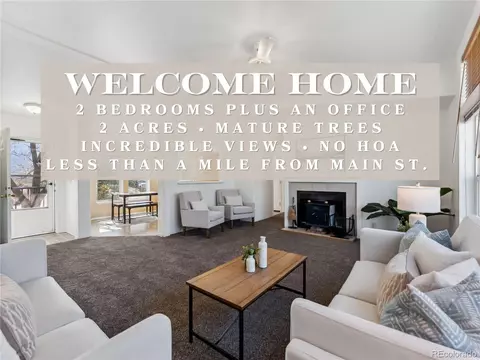 29955 County Road 371, Buena Vista, CO 81211