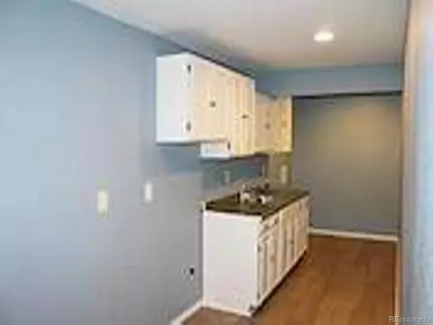 19408 E 40th Pl, Denver, CO 80249 photo 27