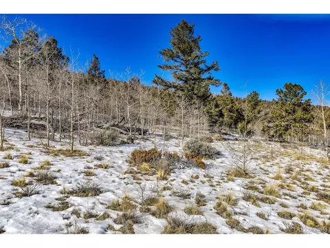 2996 Redhill Rd, Fairplay, CO 80440