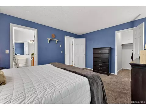 11158 Eudora Cir, Thornton, CO 80233 photo 13