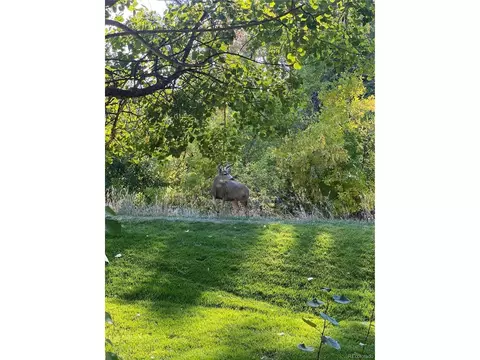 Other - 1259 Harrison Ct, Boulder, CO 80303 photo 8 of 9