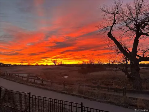 Other - 20322 E 52nd Ave, Denver, CO 80249 photo 4 of 4
