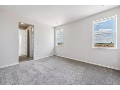 986 Rustling St, Windsor, CO 80550 photo 14