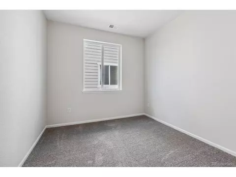 986 Rustling St, Windsor, CO 80550 photo 16