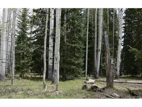1600 Hazel Lake Dr, Cimarron, CO 81220