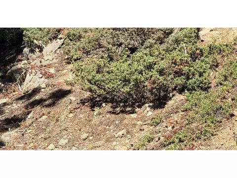 0 Silver Dollar Lode, Georgetown, CO 80444 photo 3