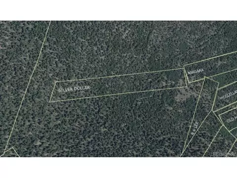 0 Silver Dollar Lode, Georgetown, CO 80444 photo 7