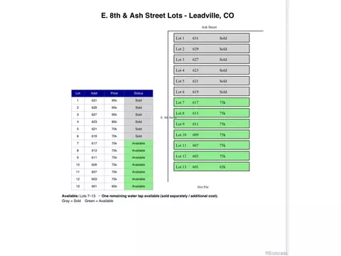 617 E 8th St, Leadville, CO 80461
