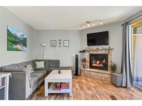 10000 Ryan Gulch Rd #113, Silverthorne, CO 80498