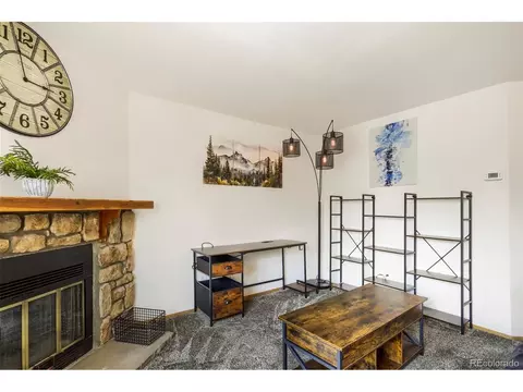 Other - 4266 S Eldridge St #101, Morrison, CO 80465 photo 3 of 6