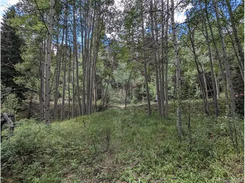 5854 Slegers Rd, Fort Garland, CO 81133