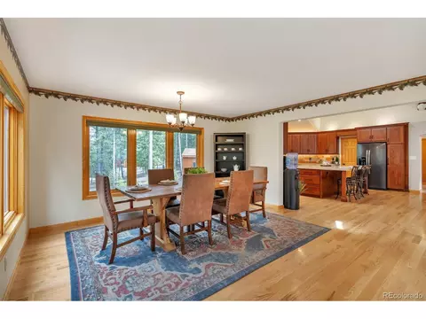 9590 S Warhawk Rd, Conifer, CO 80433 photo 12