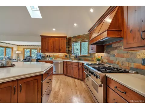 9590 S Warhawk Rd, Conifer, CO 80433 photo 11
