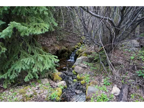 0 Trail Creek Rd, Idaho Springs, CO 80452